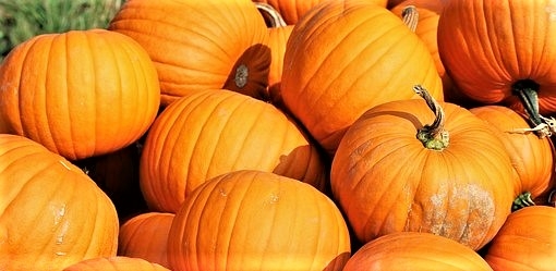 Pumpkins