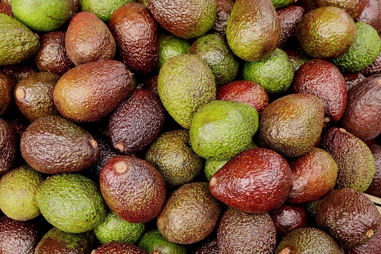 Avocados in market
