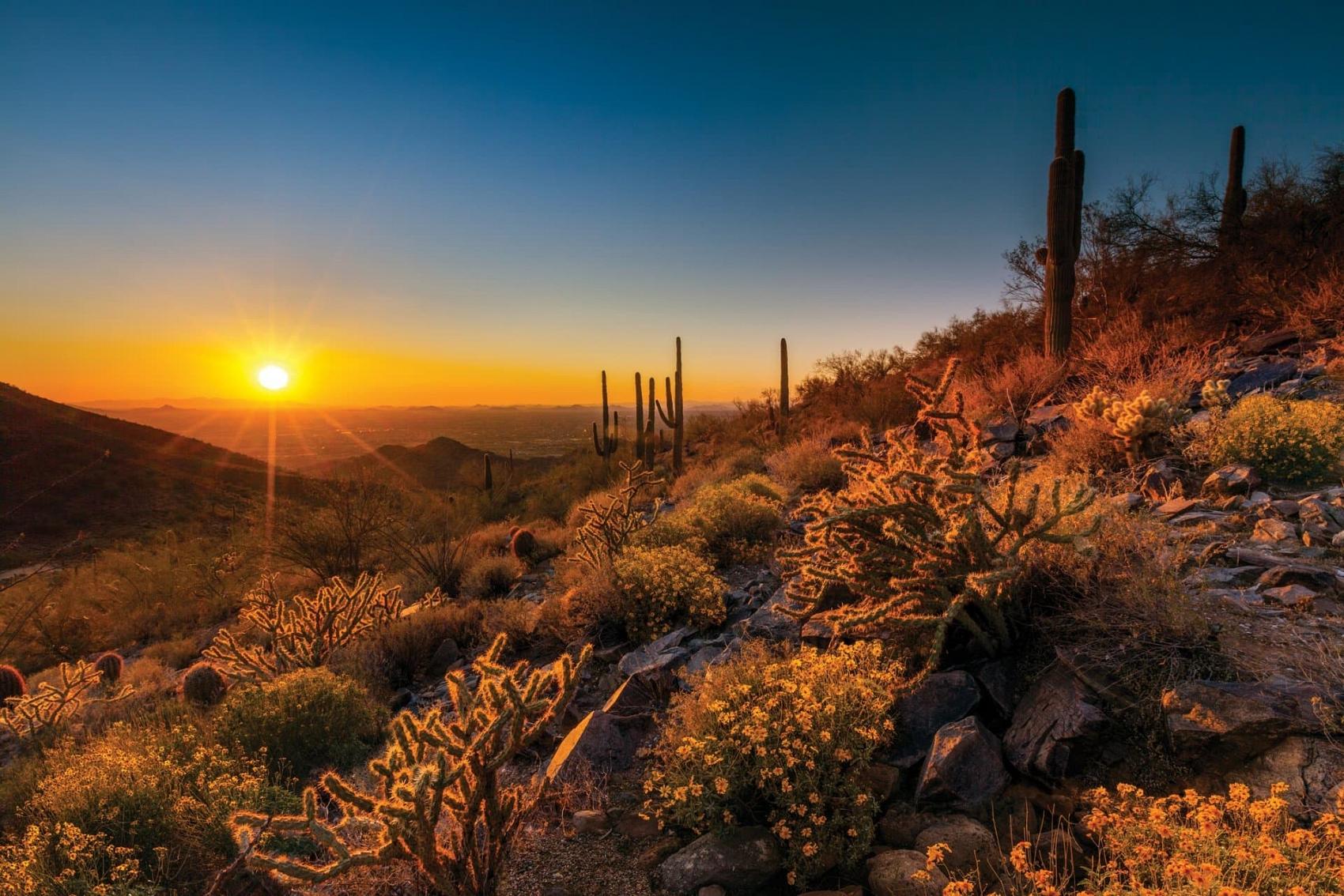 Sunset in McDowell Mountains, Scottsdale AZ