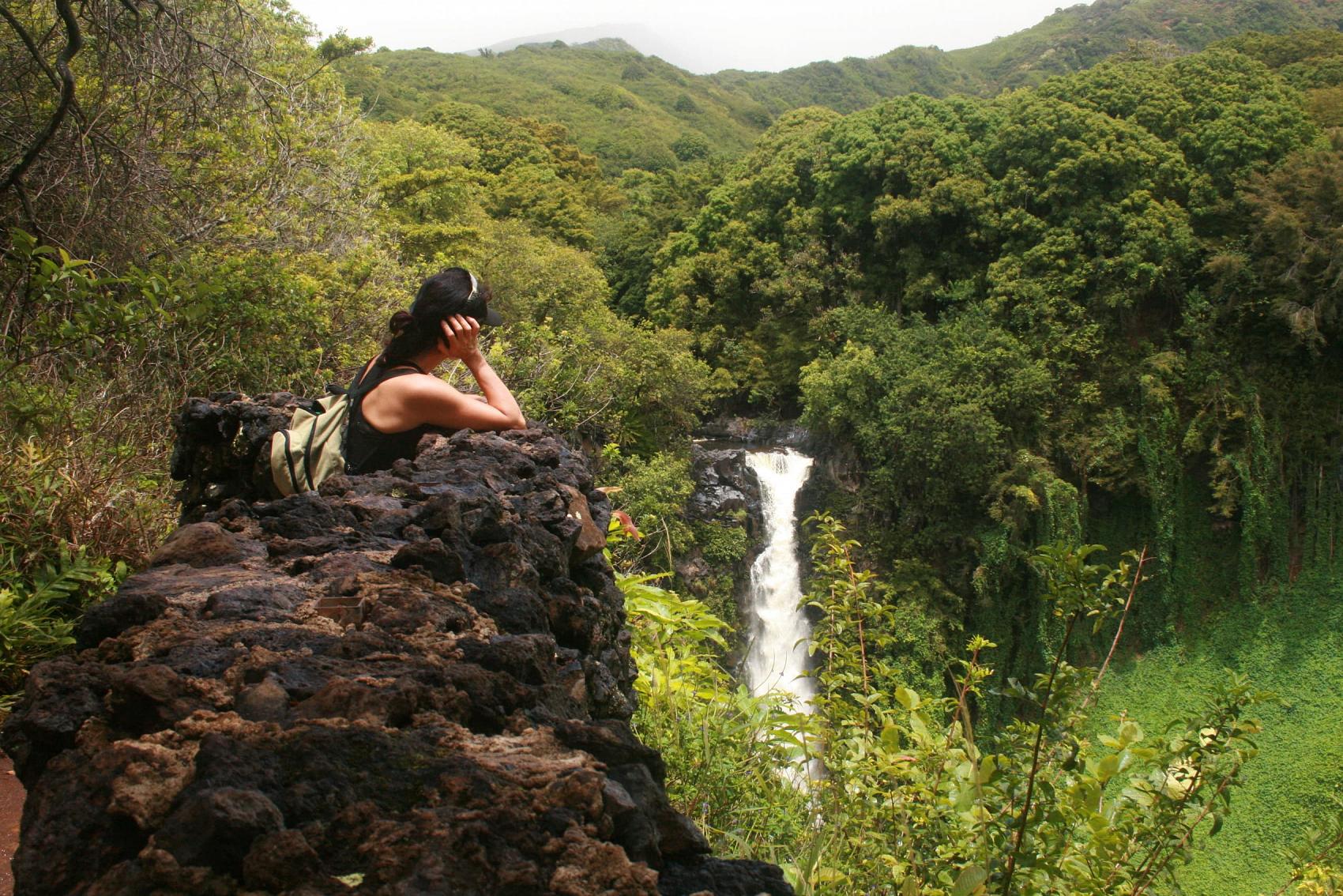Maui waterfall off hiking trail